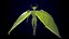 FlyingDemon