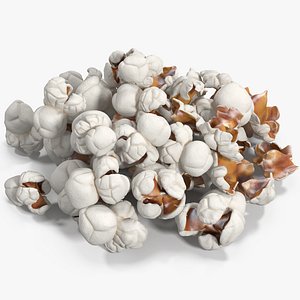 popcorn corn pop max