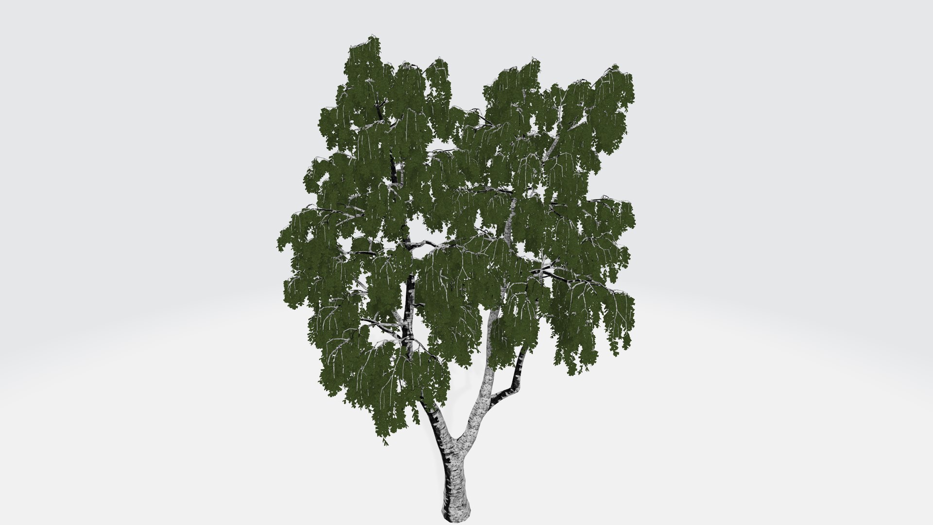3D Model Small Green Tree - TurboSquid 1956193