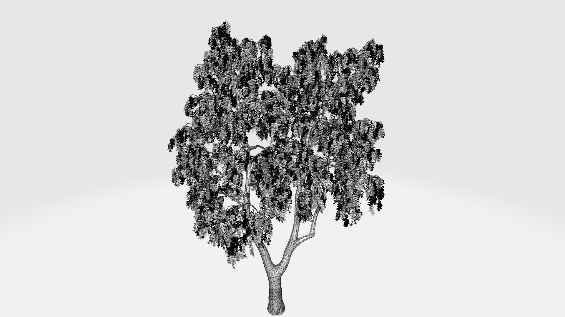 3D Model Small Green Tree - TurboSquid 1956193