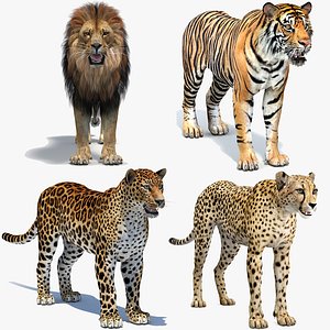 big cats lion 3D