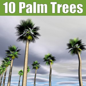 palm trees 3d model