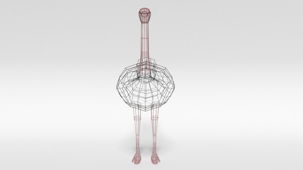 3D ostrich blender ready model - TurboSquid 1511403