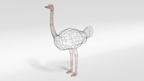 3D ostrich blender ready model - TurboSquid 1511403