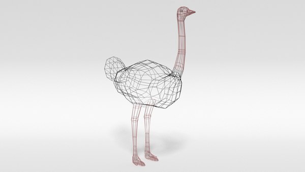 3D ostrich blender ready model - TurboSquid 1511403