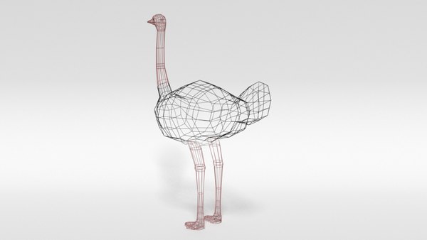3D ostrich blender ready model - TurboSquid 1511403