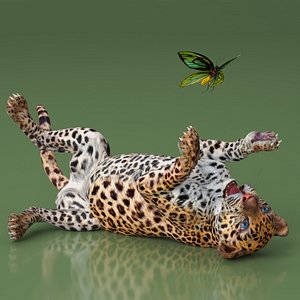 Playful Leopard Cub with Butterfly