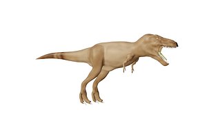 3D TYRANNOSAURUS T-REX model