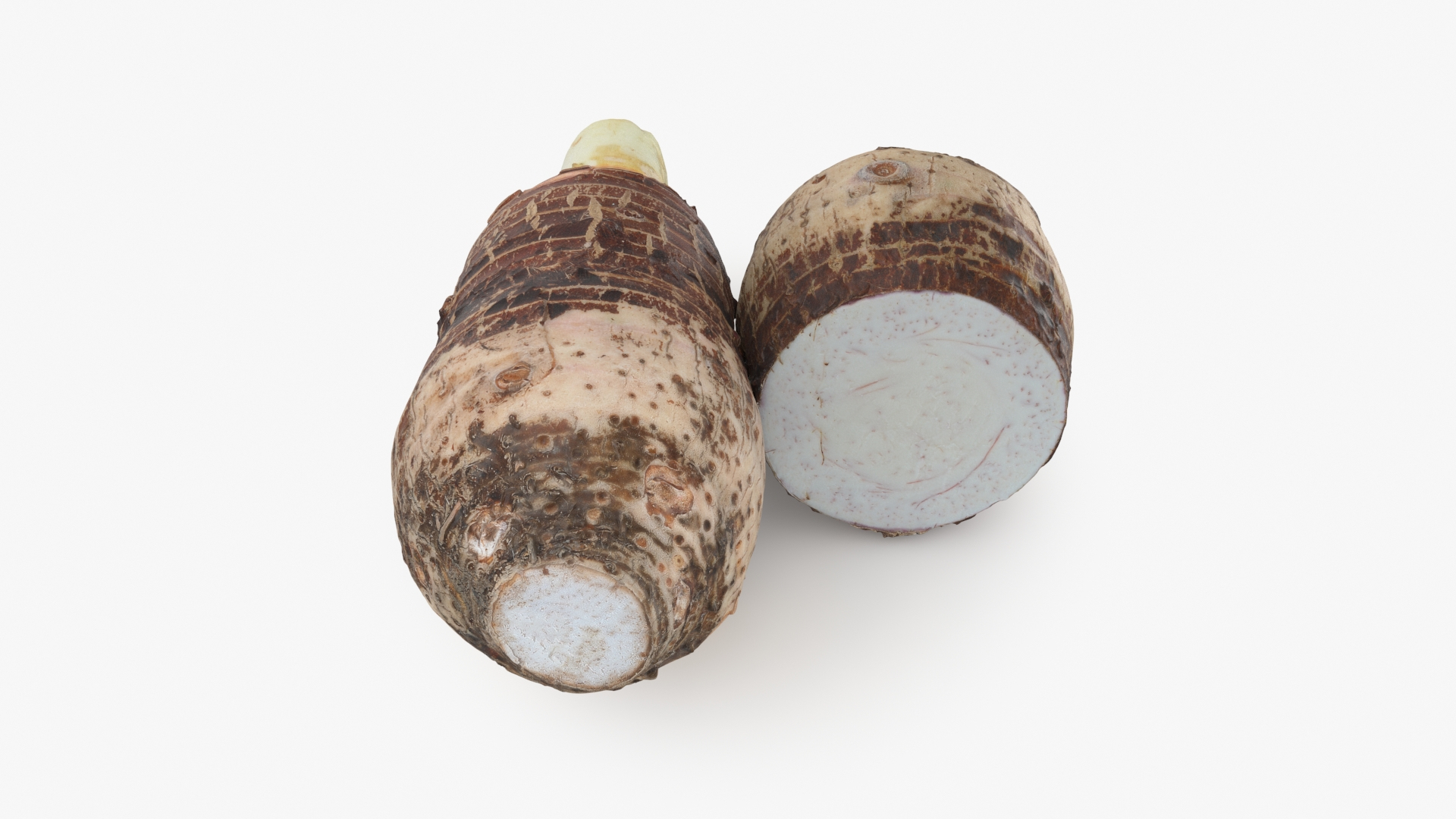 Whole And Half Taro 3D model https://p.turbosquid.com/ts-thumb/R9/7uWNJm/PA/tarowhohal/jpg/1710828633/1920x1080/turn_fit_q99/cd7bcf15648cd67fc218c904708afa75fe42eb4f/tarowhohal-1.jpg