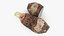 Ganzes und halbes Taro