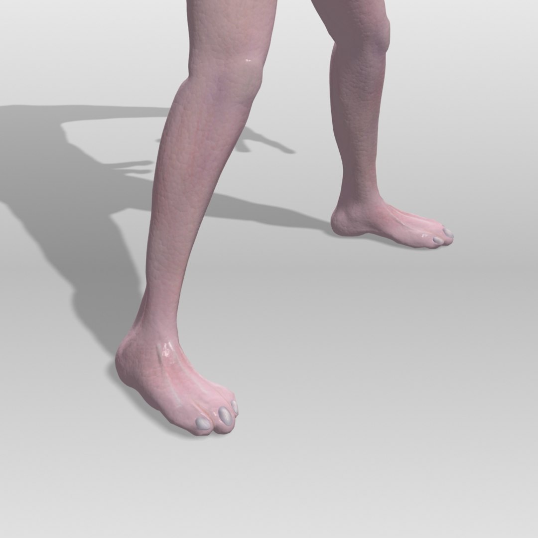 Animations Rigged Max