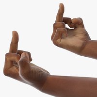 Black Male Hand Pair with Middle Finger Gesture
