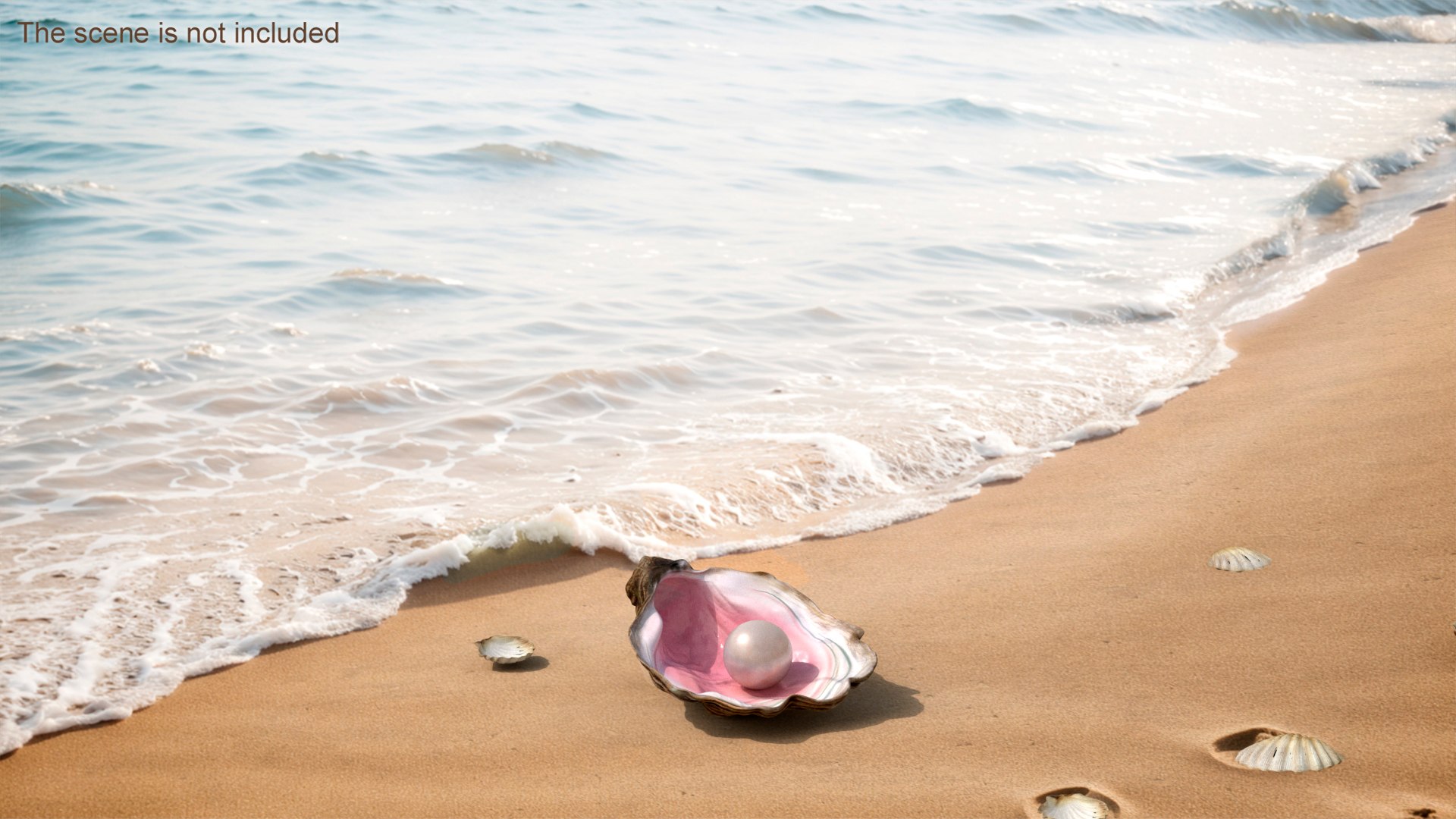 Pearl In Colored Shell Model - TurboSquid 2387380