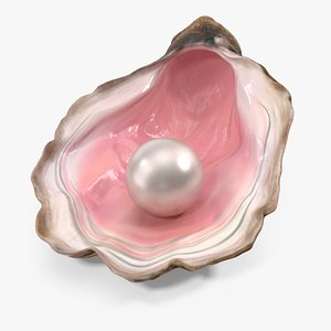 Pearl in Colored Shell model