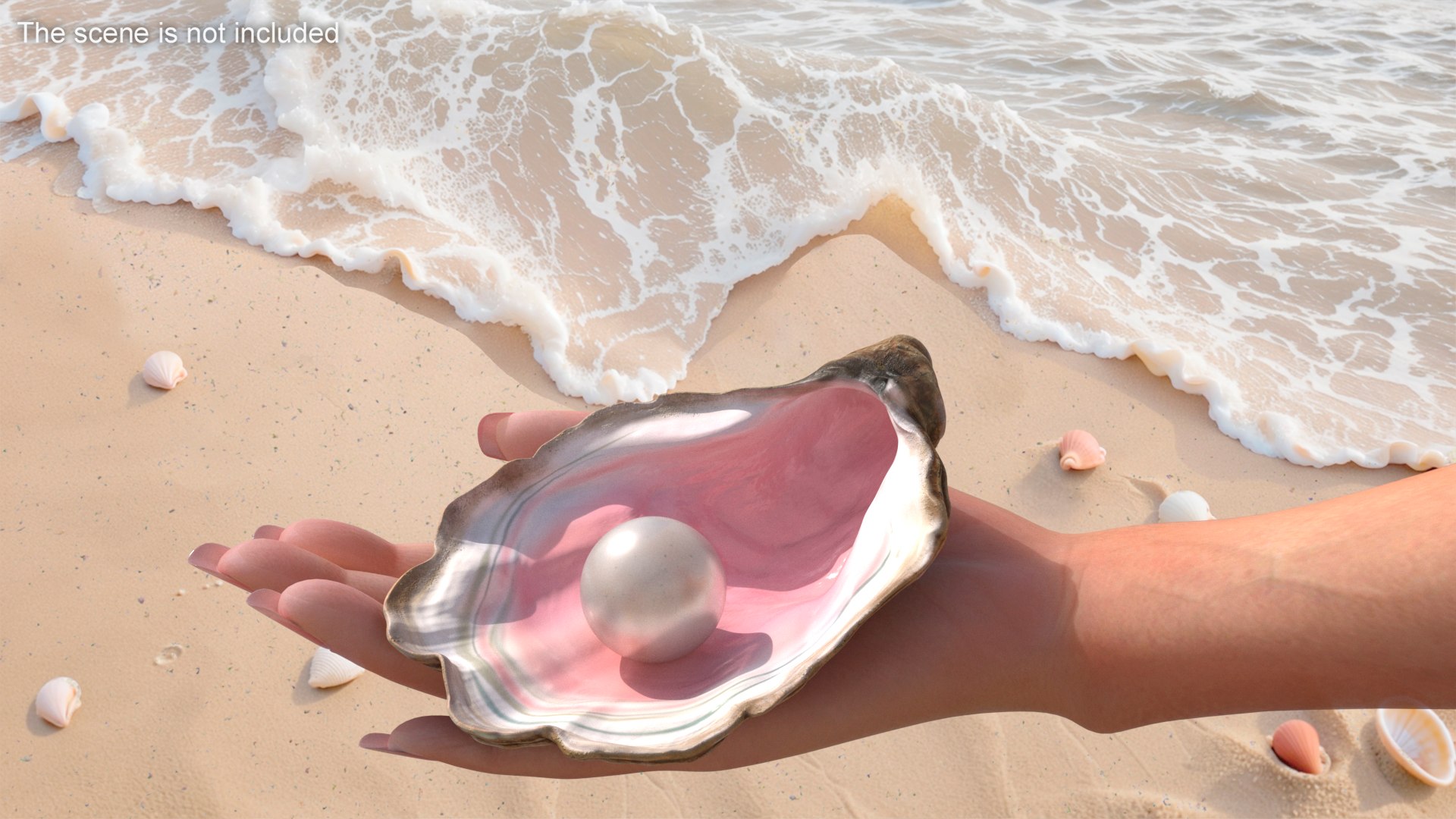 Pearl In Colored Shell Model - TurboSquid 2387380