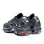 3D Nike Air Max Plus Sneakers