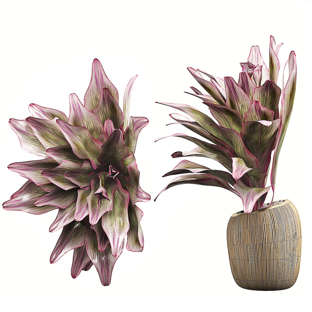 potted plants set 34 3D model https://p.turbosquid.com/ts-thumb/R9/SULXtR/oYptSiDr/flowerpack343/jpg/1589903648/1920x1080/fit_q87/1807918214de5b2d84fe5b44e92d24b096aad905/flowerpack343.jpg