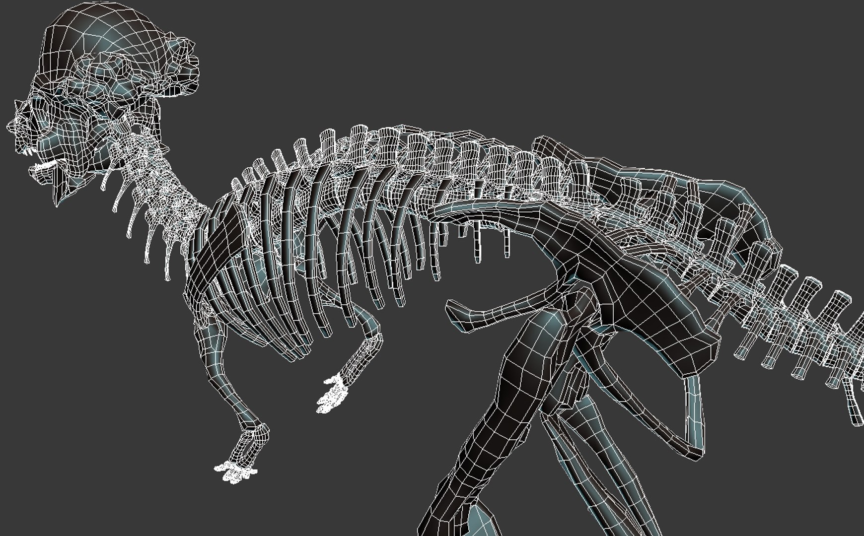 Pachycephalosaurus skeleton 3D - TurboSquid 1228777