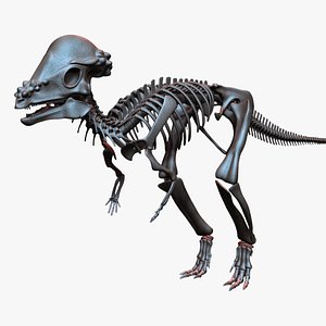 pachycephalosaurus skeleton 3D