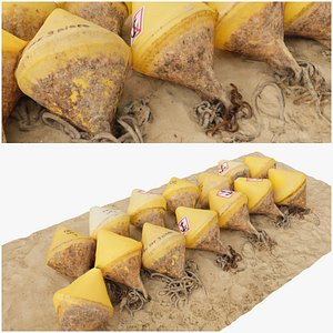 3D Cote D Azur 8K Buoy model