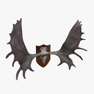 moose antlers 3d model