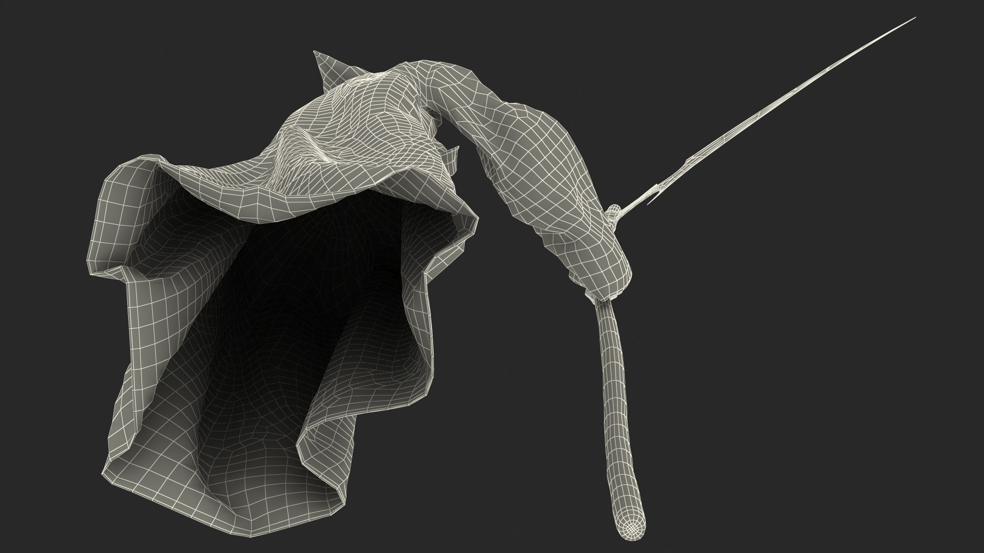 3D Death Character Staying Pose https://p.turbosquid.com/ts-thumb/R9/mJXbSh/P3/deathcharacterstayingposemb3dmodel029/jpg/1634081544/1920x1080/fit_q87/46af3cbfd9bcd5859a78efe1e81337877e6a8cd3/deathcharacterstayingposemb3dmodel029.jpg