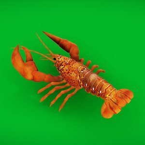 American Lobster 3D model