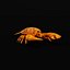 American Lobster 3D model
