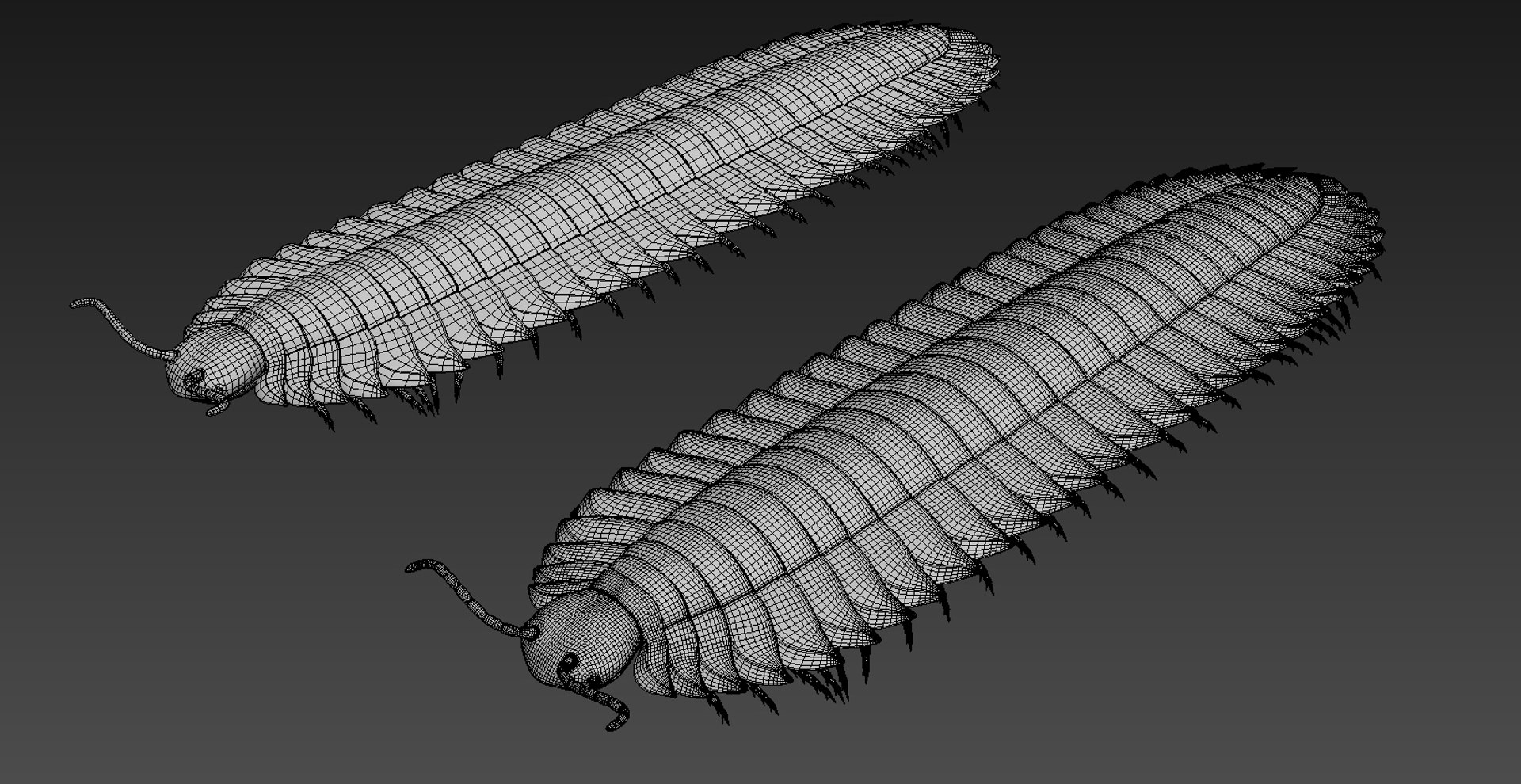 3D arthropleura armata https://p.turbosquid.com/ts-thumb/R9/rZd6VV/INf6twJ2/6/jpg/1573831043/1920x1080/fit_q87/3b3ef68bcc73c0b16b959ef1292a4af4034b9efe/6.jpg
