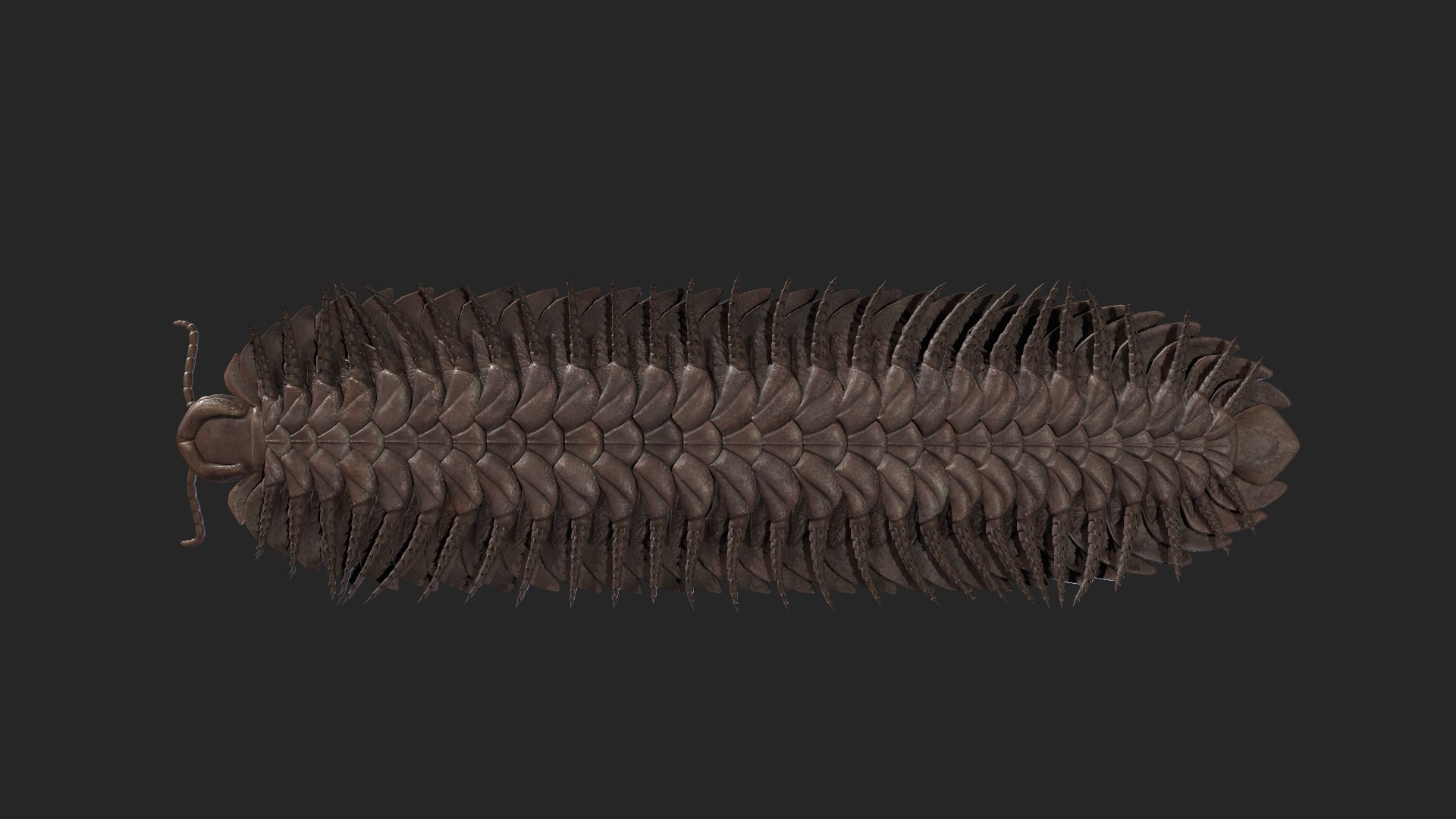 3D arthropleura armata https://p.turbosquid.com/ts-thumb/R9/rZd6VV/KONg4Ni3/4/png/1573831017/1920x1080/fit_q87/5aae97fd79a6de4f8cfa781fd5158116152f27d3/4.jpg