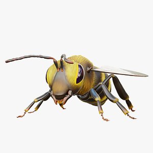 3D Bee 3d model Animated model