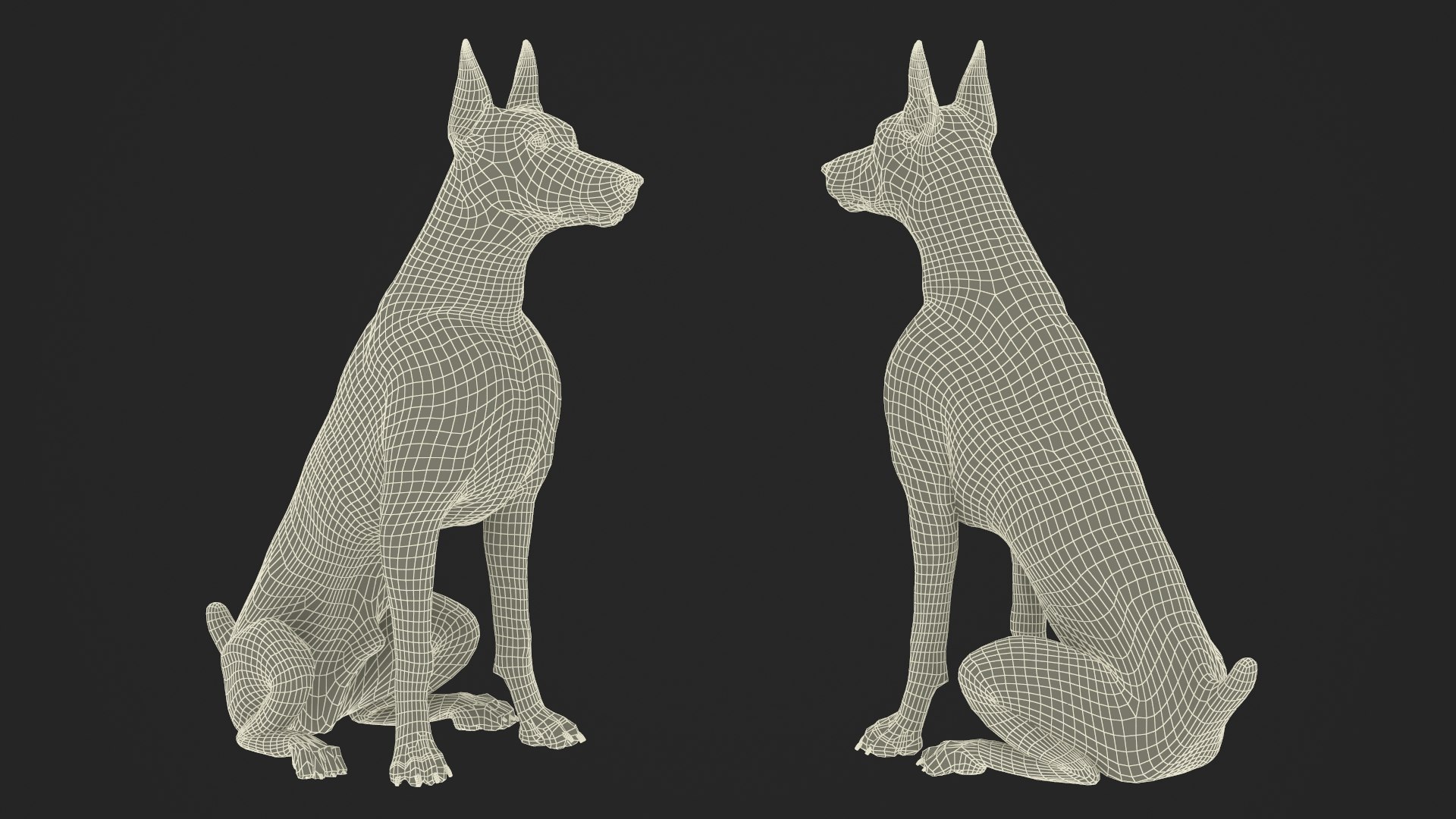 Brown Doberman Pinscher Sits Fur for Maya 3D https://p.turbosquid.com/ts-thumb/RA/1k6olx/0c/brown_doberman_pinscher_sits_fur_015/jpg/1753847947/1920x1080/fit_q87/36ba651745833e6b00de2f507782dcdf536a32b9/brown_doberman_pinscher_sits_fur_015.jpg