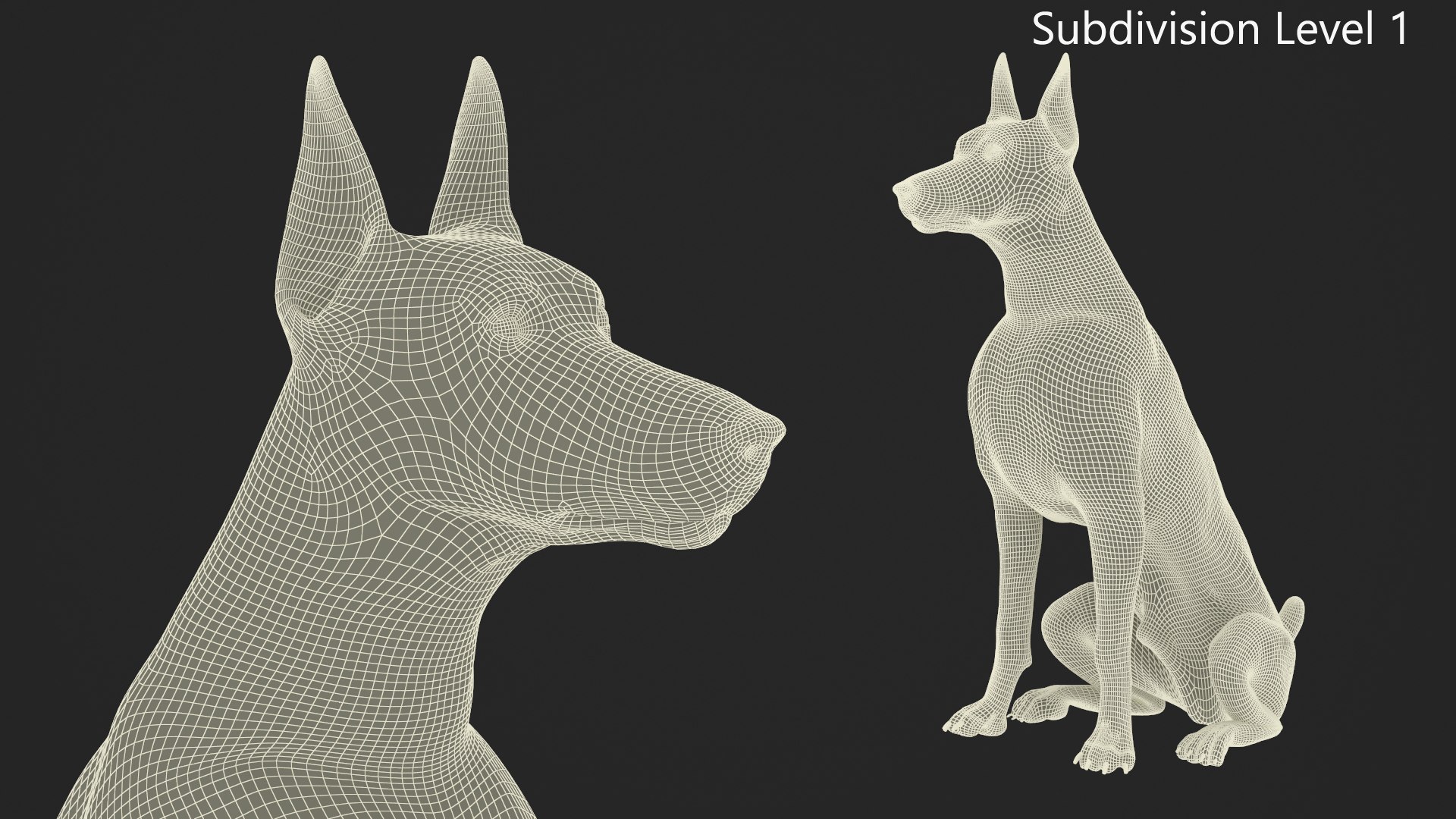 Brown Doberman Pinscher Sits Fur for Maya 3D https://p.turbosquid.com/ts-thumb/RA/1k6olx/HQ/brown_doberman_pinscher_sits_fur_011/jpg/1753847935/1920x1080/fit_q87/a0bb8c76f725204fac92487a558c2b5ec336db8e/brown_doberman_pinscher_sits_fur_011.jpg