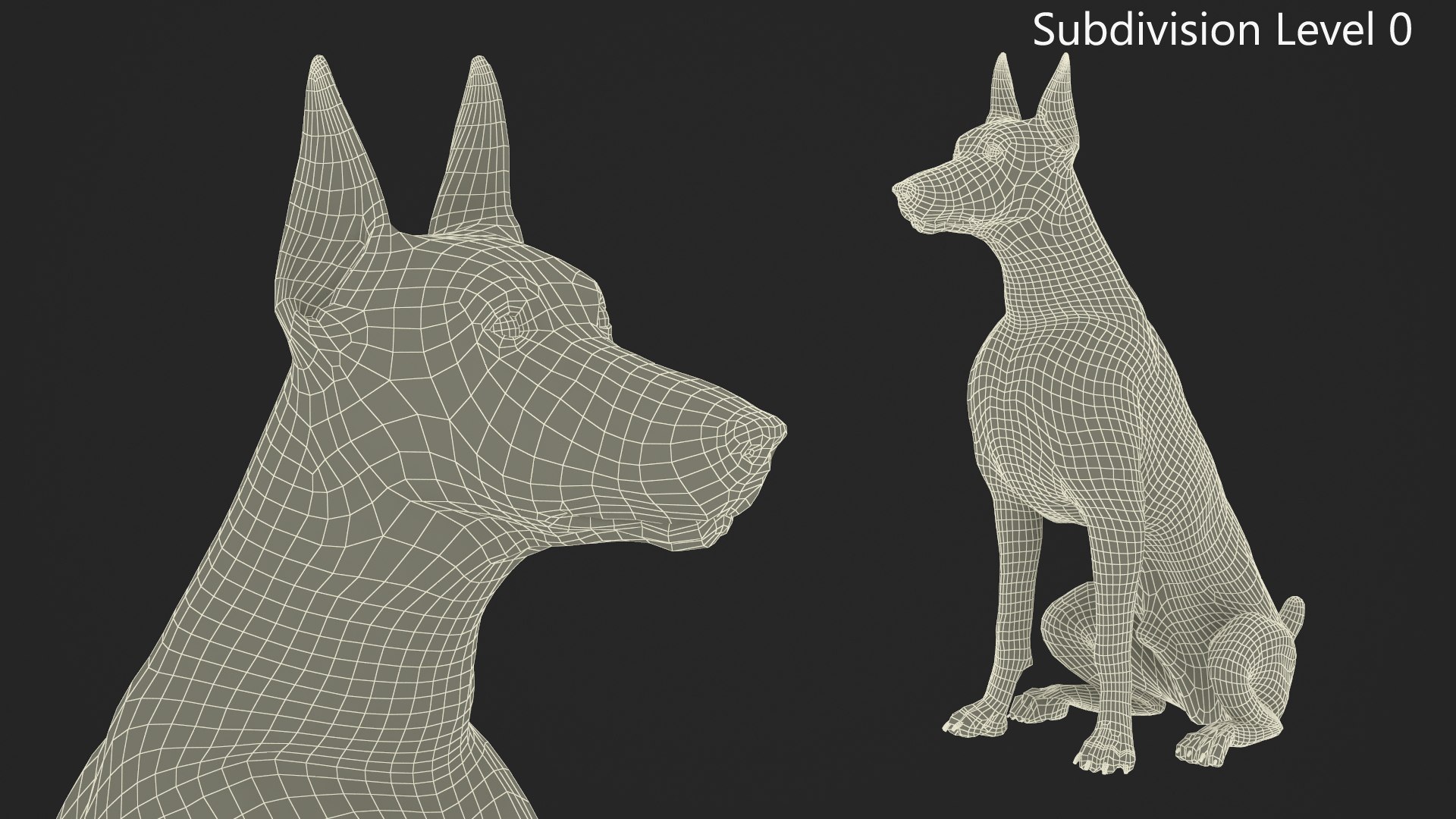 Brown Doberman Pinscher Sits Fur for Maya 3D https://p.turbosquid.com/ts-thumb/RA/1k6olx/KX/brown_doberman_pinscher_sits_fur_010/jpg/1753847932/1920x1080/fit_q87/47e4b325d2b321fe6f93b85c2c35348cf7e4f349/brown_doberman_pinscher_sits_fur_010.jpg