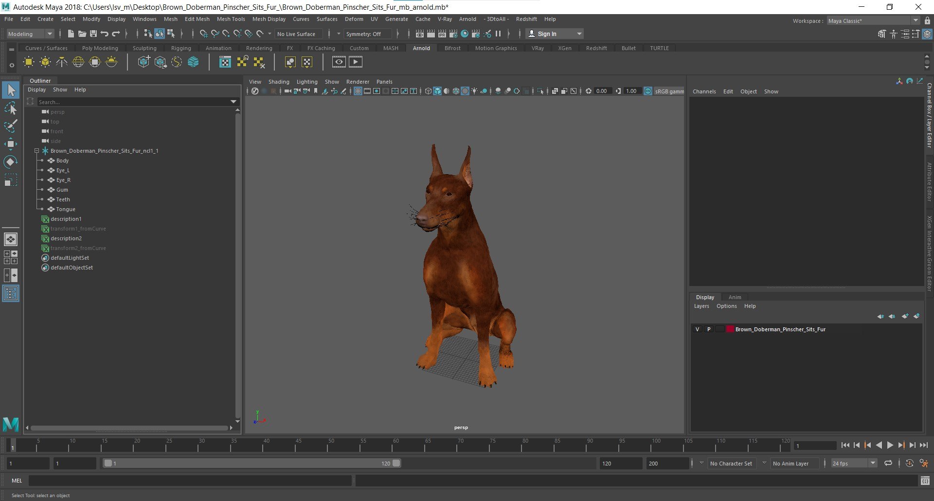 Brown Doberman Pinscher Sits Fur for Maya 3D https://p.turbosquid.com/ts-thumb/RA/1k6olx/Ra/brown_doberman_pinscher_sits_fur_for_maya_1001/jpg/1753847955/1920x1080/fit_q87/ff1a0cddd52428caec5becf8698f9a227b4651f5/brown_doberman_pinscher_sits_fur_for_maya_1001.jpg