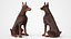 Brown Doberman Pinscher Sits Fur for Maya