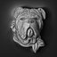 Sculpture en relief chien