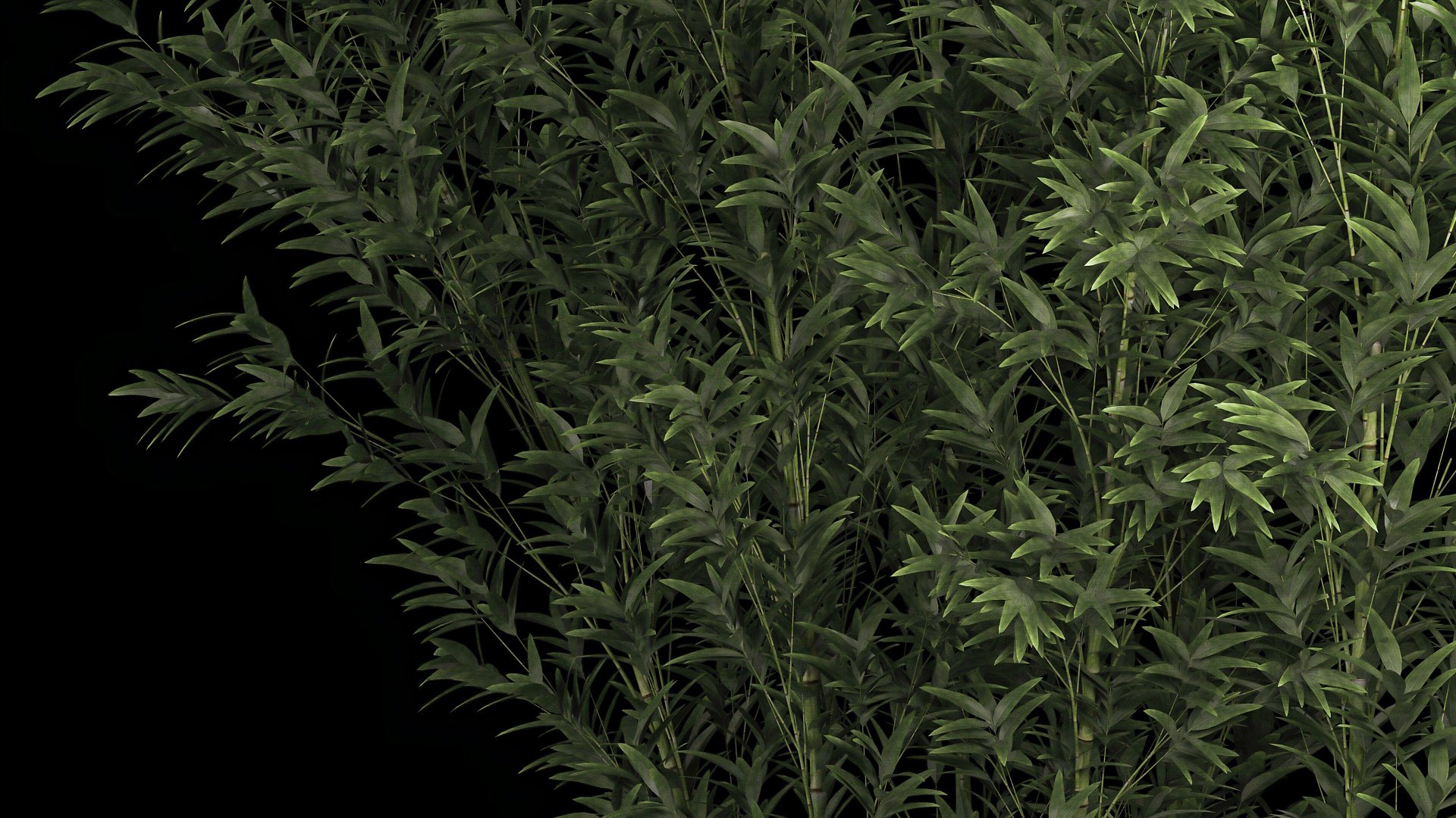 Bamboo Garden And Bamboo Thickets 1118 3D model https://p.turbosquid.com/ts-thumb/RA/BHyTVK/9z/1bamboo2406202206/jpg/1656155368/1920x1080/fit_q87/9c19e15c24fdcce8efdbfbdd560b0d67aa88be0c/1bamboo2406202206.jpg