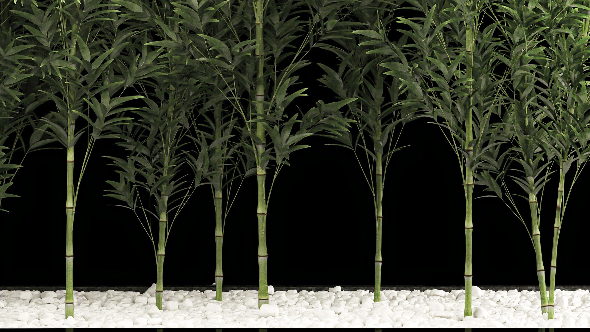 Bamboo Garden And Bamboo Thickets 1118 3D model https://p.turbosquid.com/ts-thumb/RA/BHyTVK/By/1bamboo2406202207/jpg/1656155367/1920x1080/fit_q87/73fee96fa82a6e79f51f4683d4abe167f6c7152b/1bamboo2406202207.jpg
