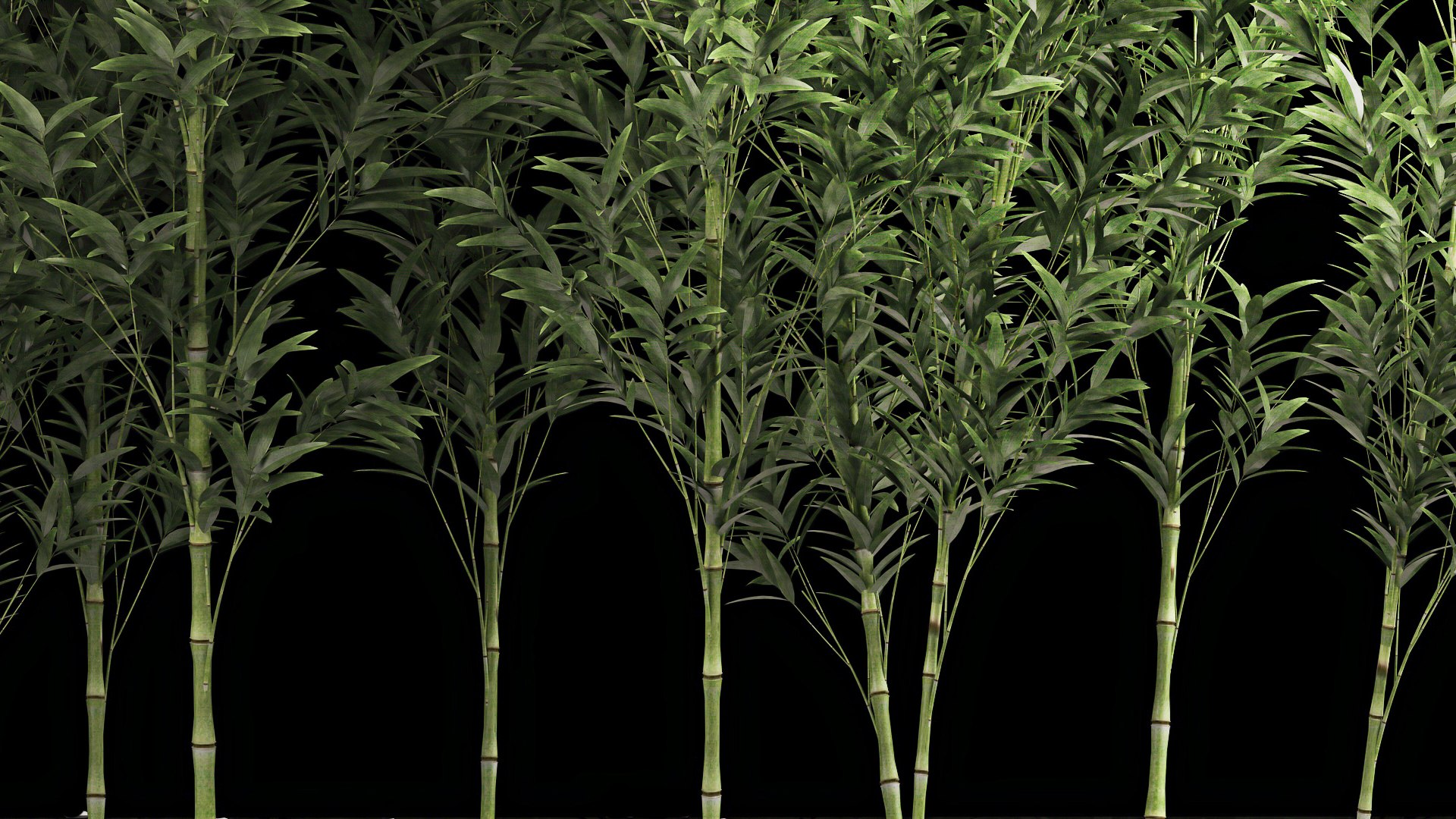 Bamboo Garden And Bamboo Thickets 1118 3D model https://p.turbosquid.com/ts-thumb/RA/BHyTVK/dE/1bamboo2406202205/jpg/1656155365/1920x1080/fit_q87/1a9e682d52f4ef6490f9c4e9dcb9d44f0ac93616/1bamboo2406202205.jpg