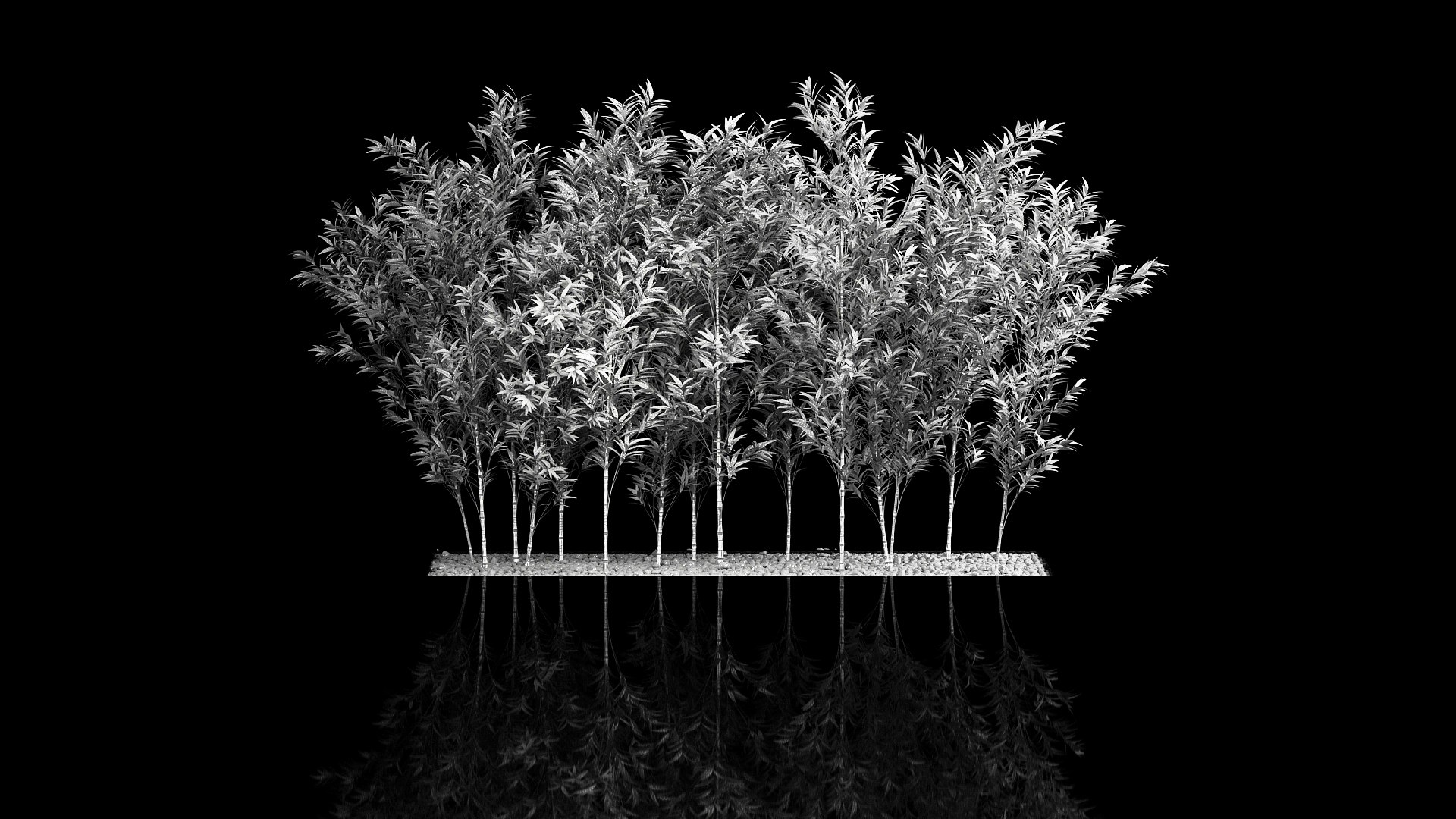 Bamboo Garden And Bamboo Thickets 1118 3D model https://p.turbosquid.com/ts-thumb/RA/BHyTVK/hN/1bamboo2406202209/jpg/1656155367/1920x1080/fit_q87/161902b53b91e09d45eaa844cb35282cf4319a8b/1bamboo2406202209.jpg