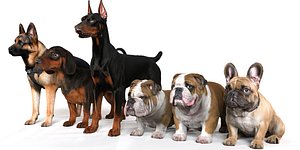3D model Dog Pack