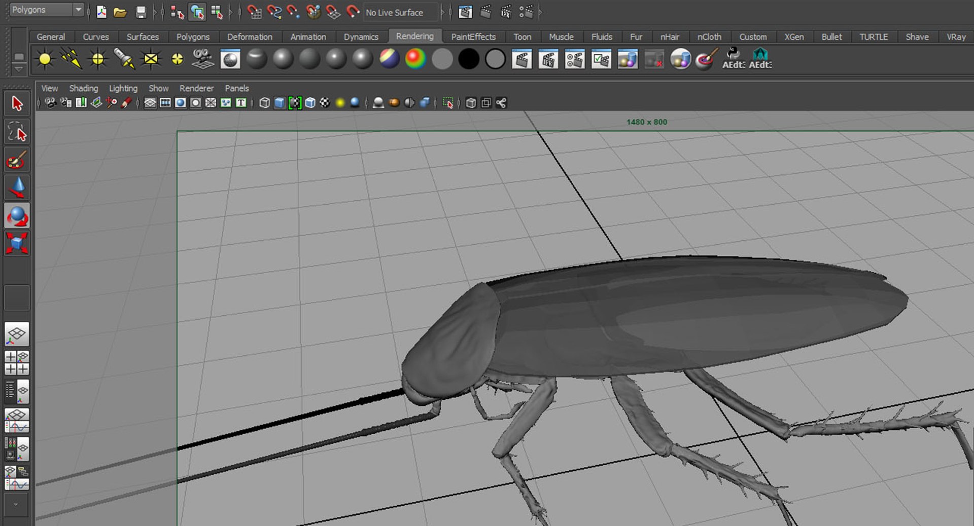 3D Cockroach Model - TurboSquid 1460171
