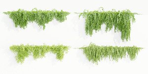 Hanging wall plants collection vol 109-Blender 3D