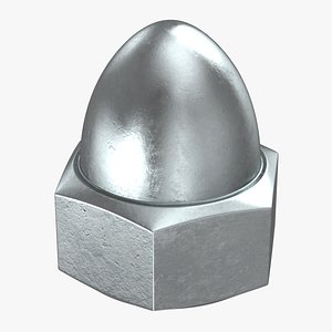 3D model acorn nut