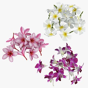 Flower Pile - 3D Scanned Collection