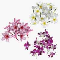 Flower Pile - 3D Scanned Collection