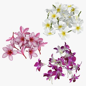 Flower Pile - 3D Scanned Collection