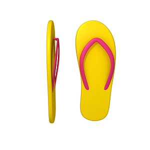flip flop cartoon 3D