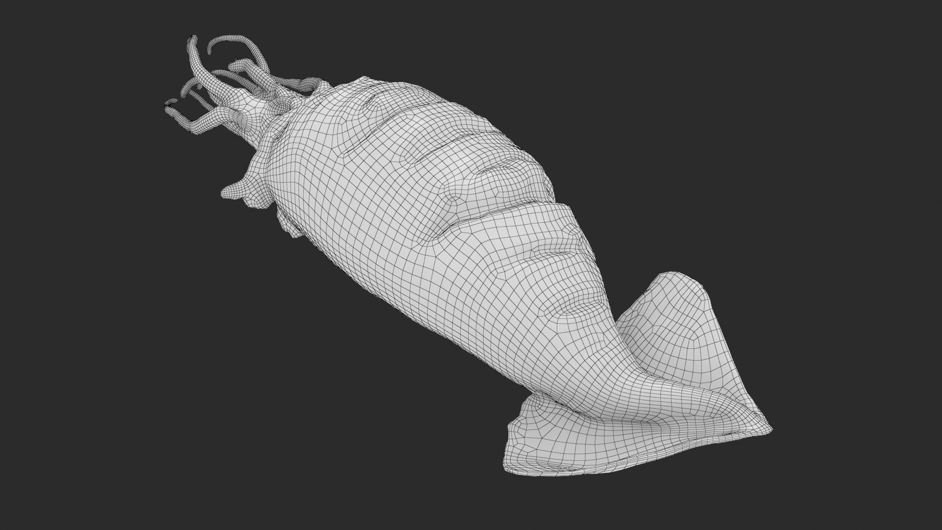 Grilled Squid 3D model https://p.turbosquid.com/ts-thumb/RA/j0HFQq/29/grilledsquid_f0003/jpg/1698910179/1920x1080/fit_q87/4be65e78d3bed73b84e6e60da2e3a52cfe4475b5/grilledsquid_f0003.jpg